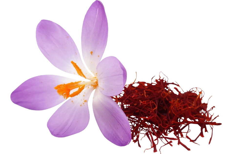 Saffron là gì? Khám phá 10 công dụng của Saffron cho sức khỏe