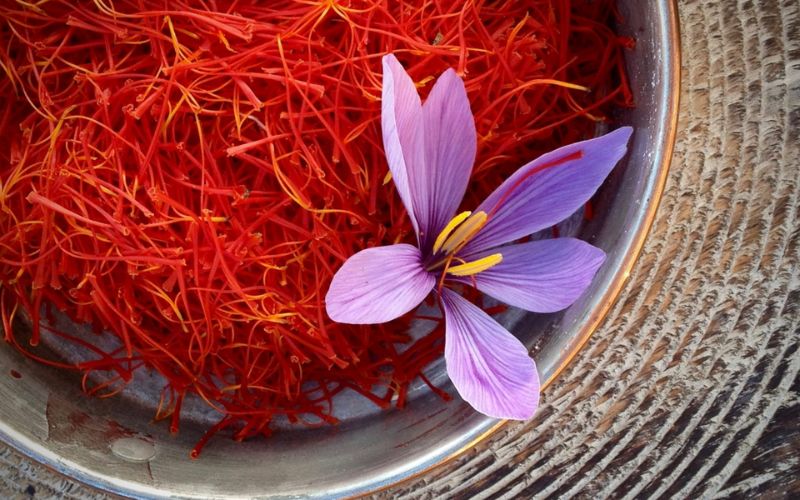 Cách bảo quản saffron và hạn sử dụng saffron như thế nào? - Nuga Food