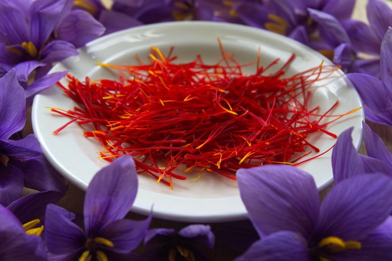 Nhụy hoa nghệ tây Saffron là gì? Công dụng thực sự của Saffron - Nhà thuốc FPT Long Châu
